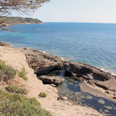 Oleandro Capoliveri (Isola d'Elba)